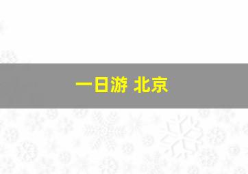 一日游 北京